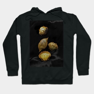 crustacea Hoodie